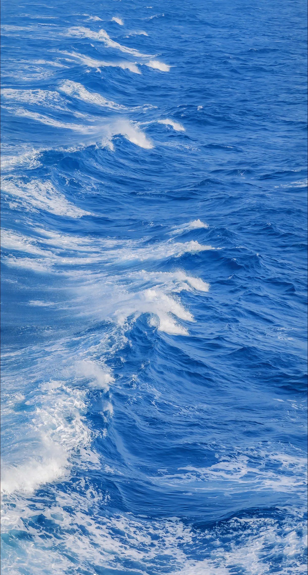 海上漂，心飛揚——探索陸路國際貨運代理業(yè)務(wù)的獨特魅力